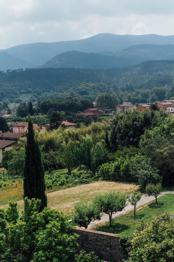 Buonvisi B&B 卢卡 外观 照片