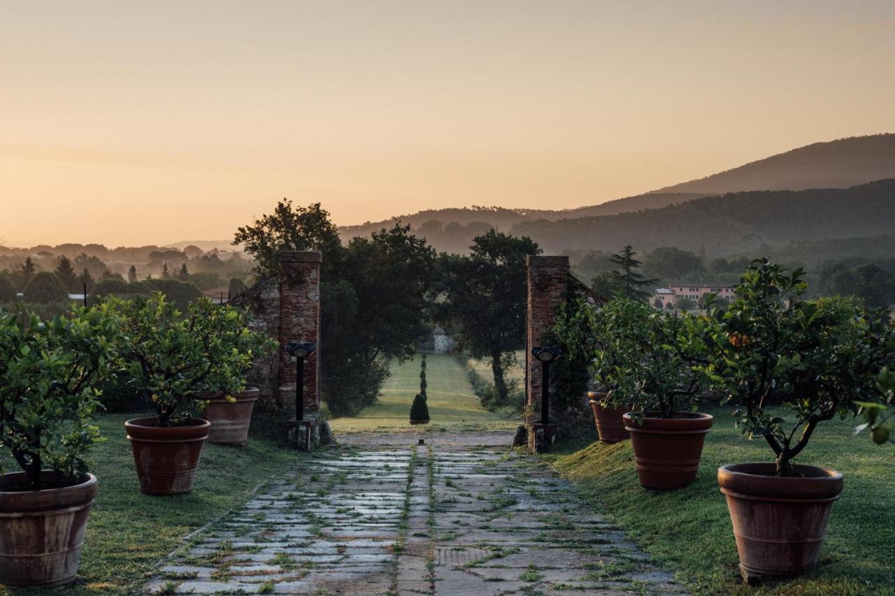 Buonvisi B&B 卢卡 外观 照片